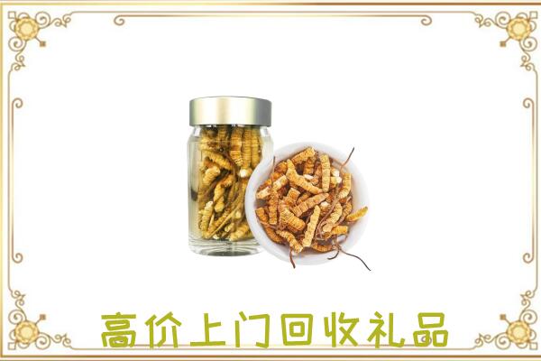 延边周边回收虫草